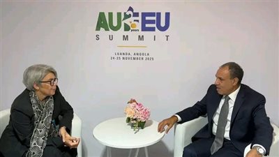 وزير الخارجية يلتقي مبعوثة الاتحاد الأوروبي للقرن الأفريقي