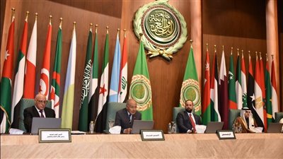 في قمة الإعلام العربي أبو الغيط : وسائل التواصل تغذي التطرف