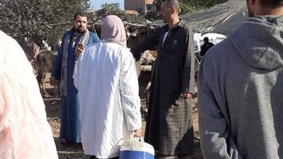 الزراعة: تحصين أكثر من 7.5 مليون جرعة ضد الحمى القلاعية والوادي المتصدع