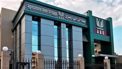 تمويل يبدأ من 2000 جنيه.. خطوات الحصول على قرض باب رزق للمشروعات الصغيرة