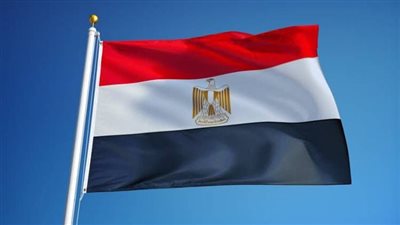 مصر تفوز بمقعد في المنظمة البحرية الدولية وسط إشادة دولية