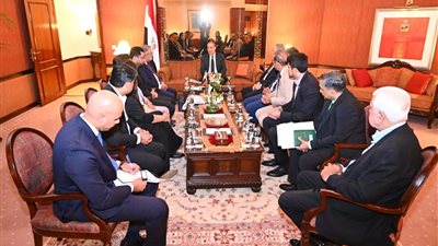 وزير الخارجية يلتقي قيادات التجارة والصناعة الباكستانية لتعزيز التعاون الاقتصادي مع مصر