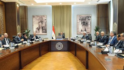 الحكومة: توفير كافة احتياجات لضمان عمل مصانع الأسمدة بطاقتها القصوى
