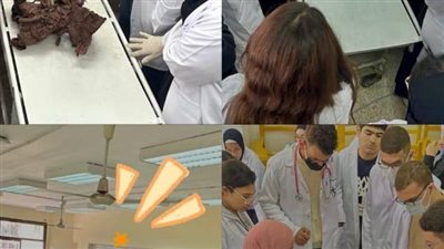 جامعة القاهرة الأهلية تدعم التدريب العملي لطلاب العلاج الطبيعي داخل معامل التشريح المتقدمة بجامعة القاهرة الأم