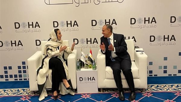 وزير الخارجية يلتقي